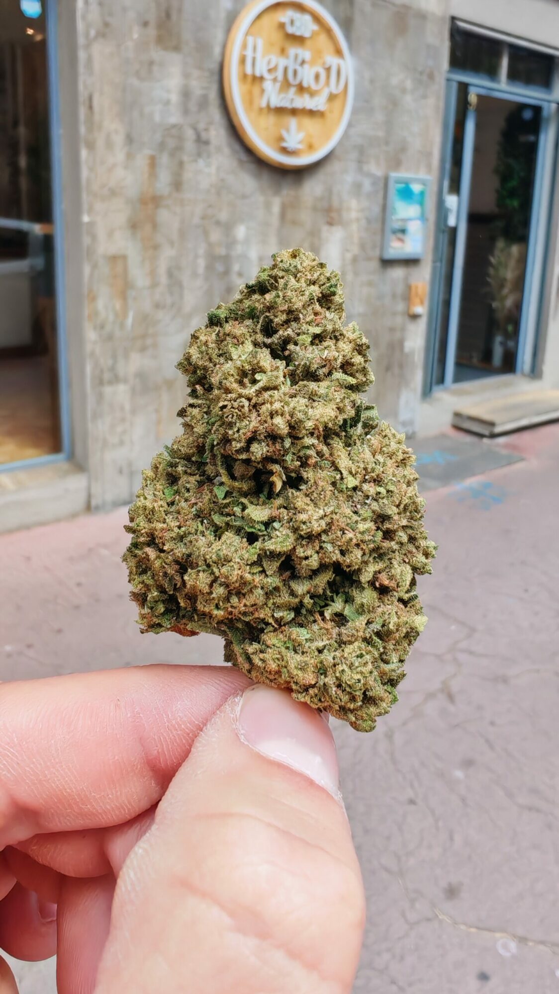 Sunset >0.3% THC
