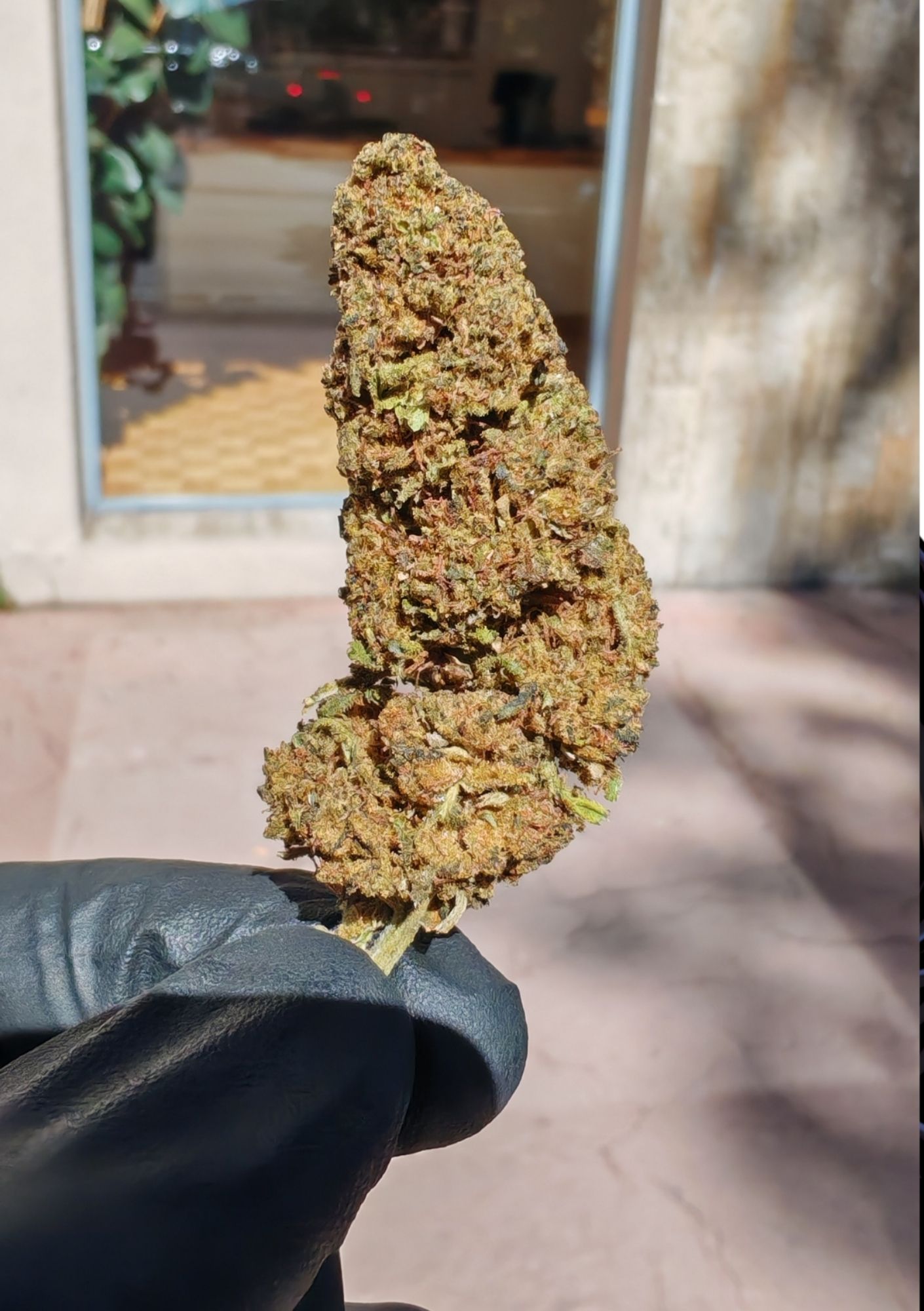 Wazaaaa – Image 2